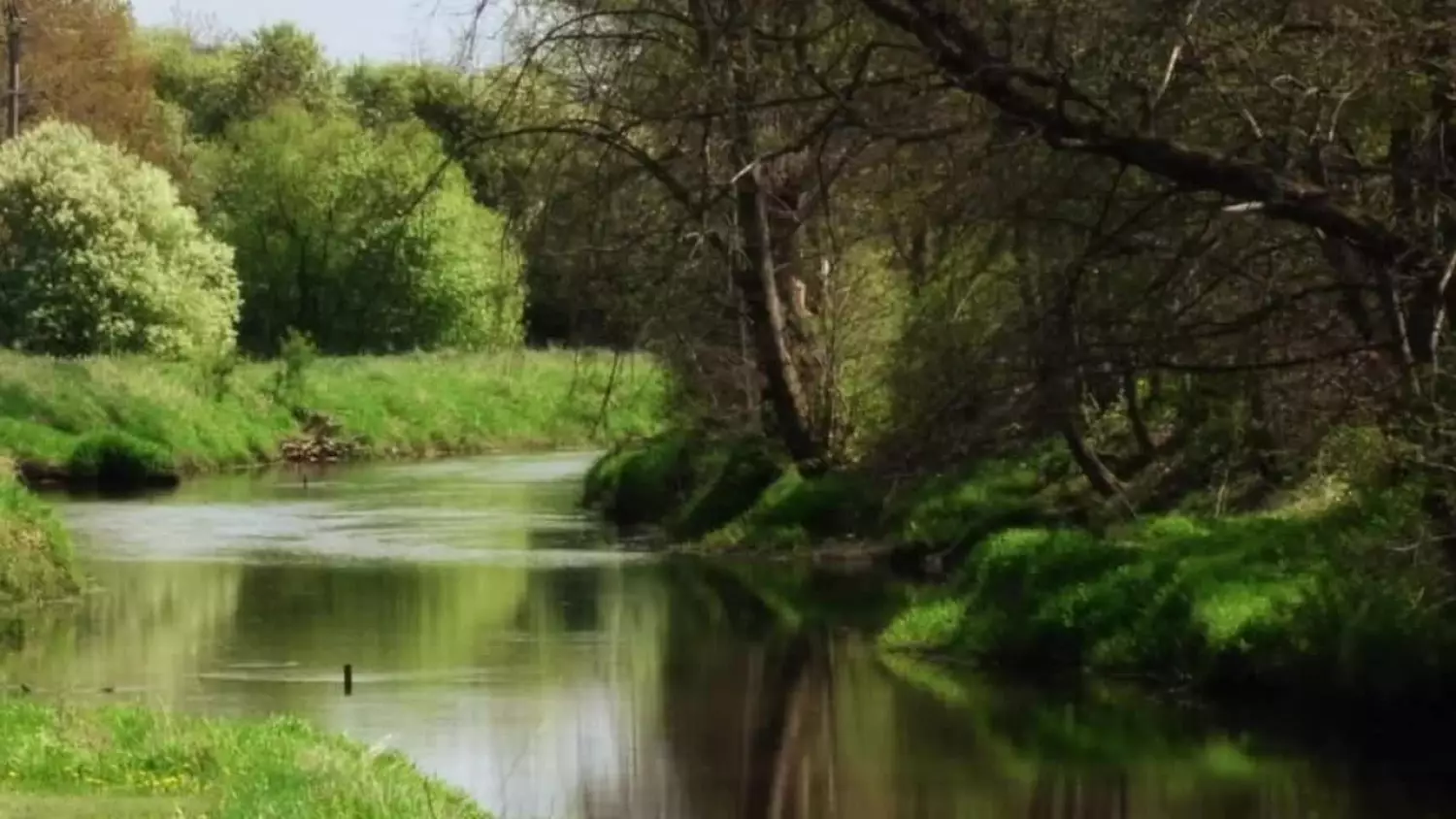 pawel-wierzbnik-2-ok.mp4