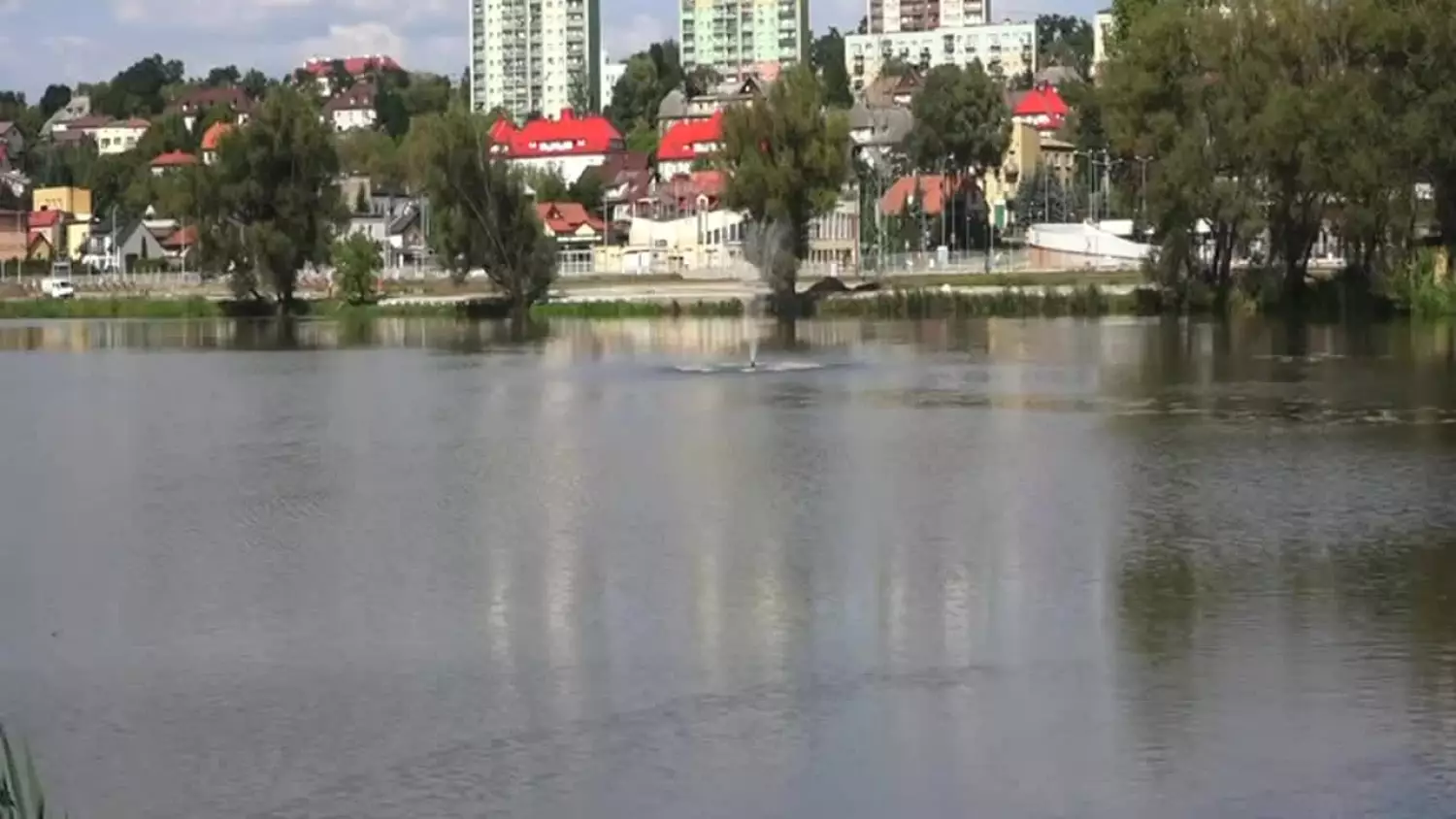 2023-agata-wojtyszek-powiat-starachowicki-1.mp4