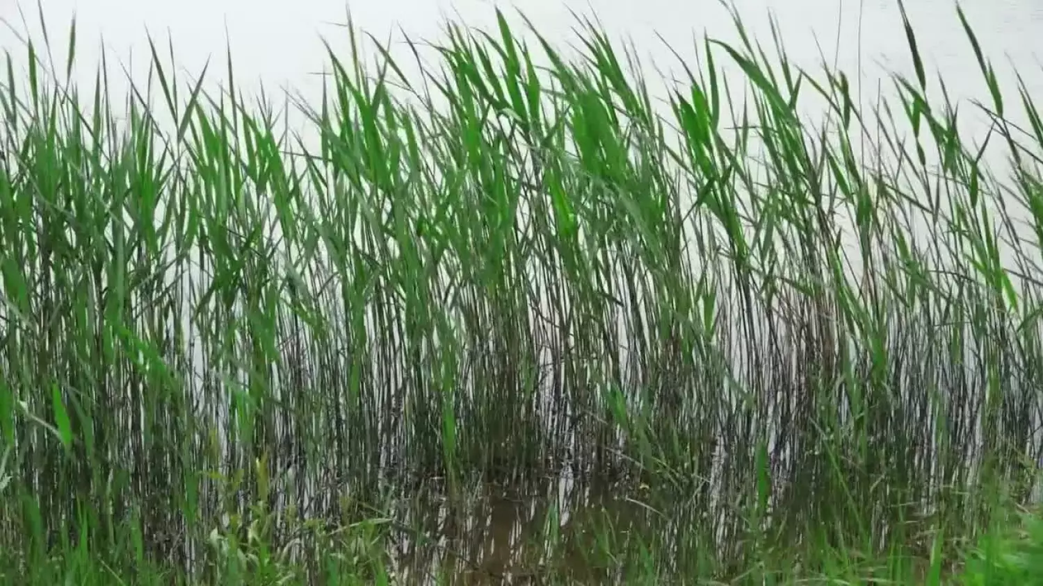 2023-09-29-wagonik.mp4