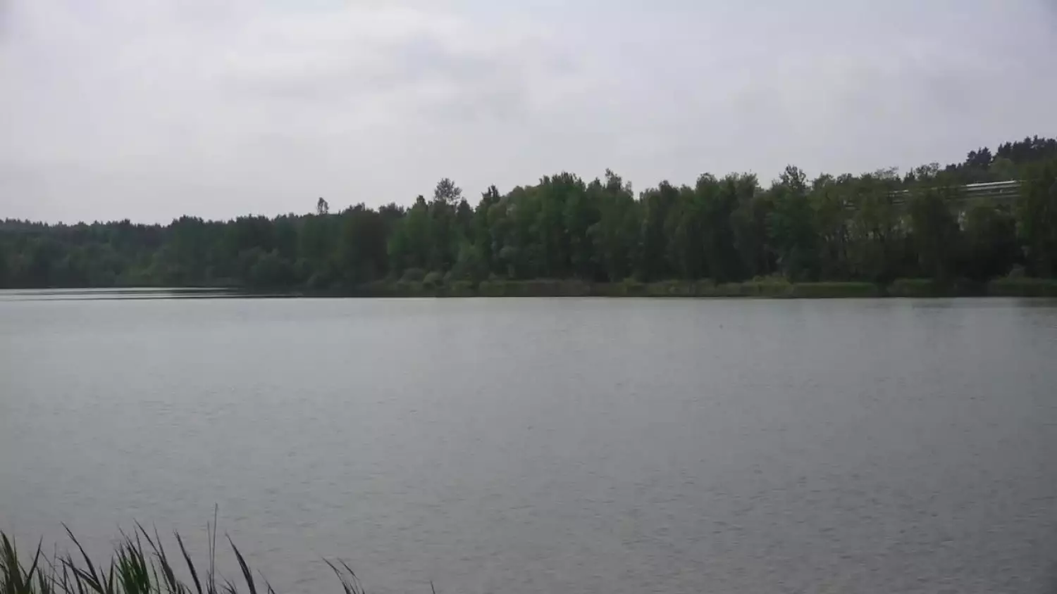 2023-09-29-wagonik.mp4