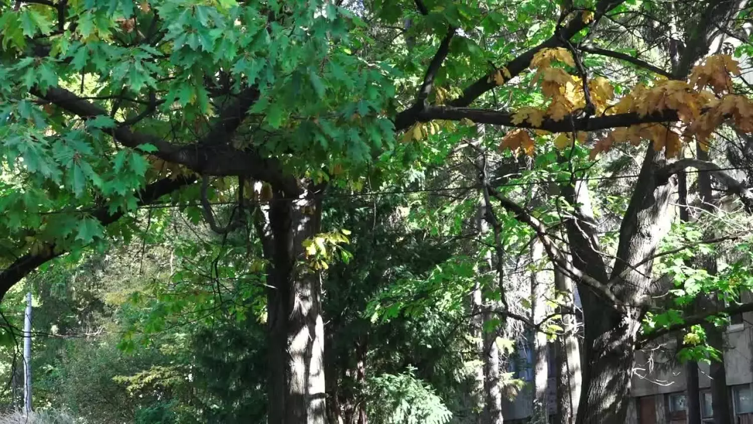 2023-10-20stary-szpital.mp4