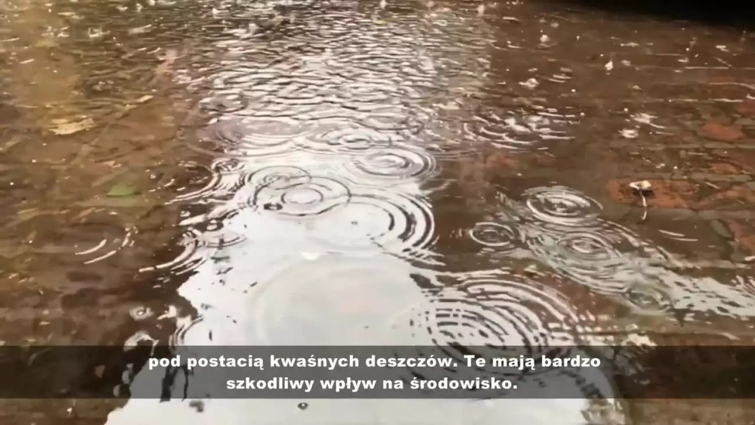 2023spoty-ok-sek-13.mp4