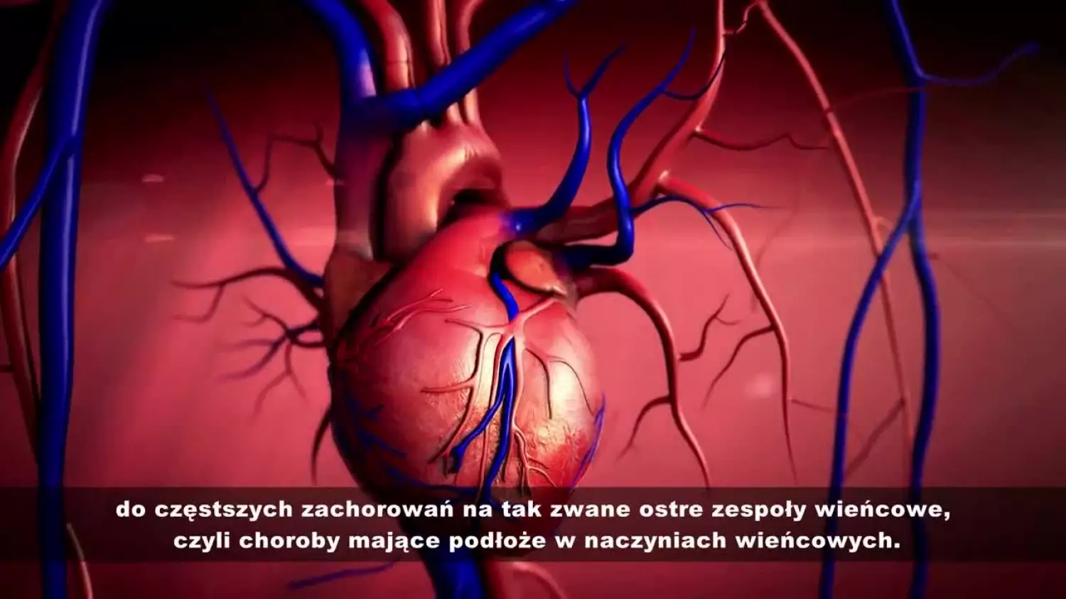 2023spoty-ok-sek-17-hd.mp4