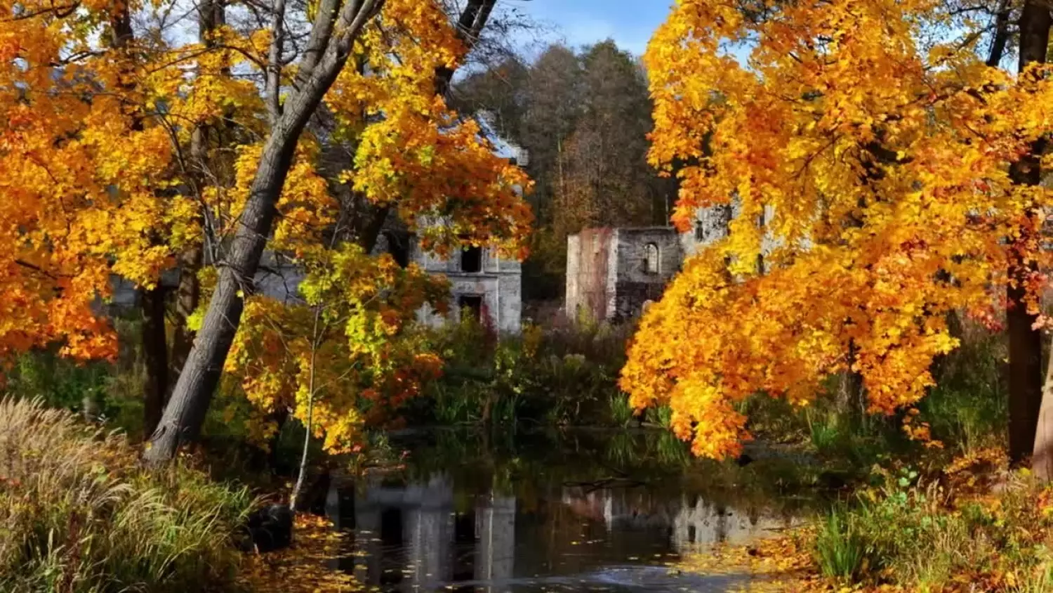 2023-11-10-magia.mp4