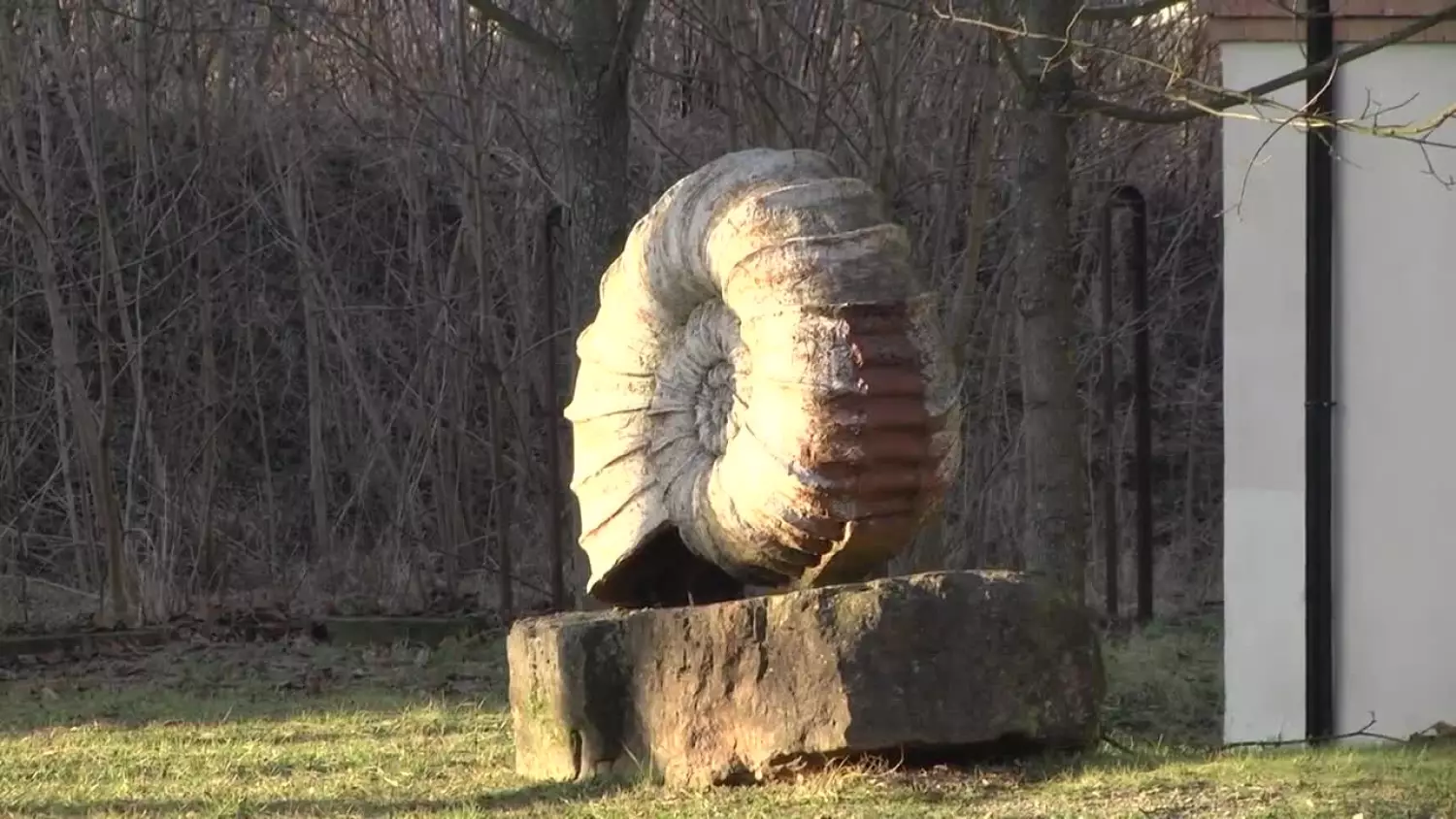 2024-01-05-muzeum.mp4