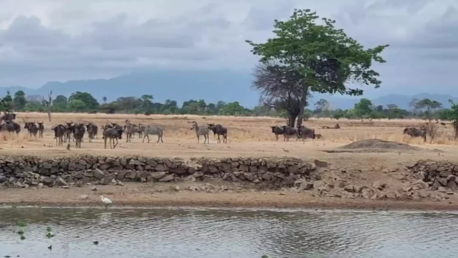 2024-01-10-tanzania-ok1.mp4