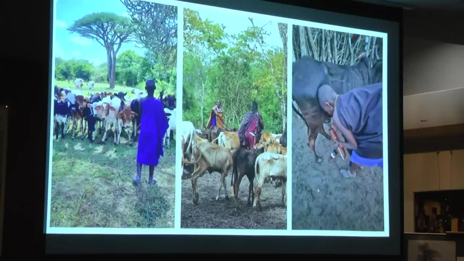 2024-01-10-tanzania-ok1-dbf9937.mp4