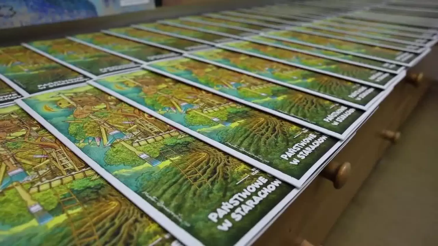 2024-02-14-ognisko.mp4