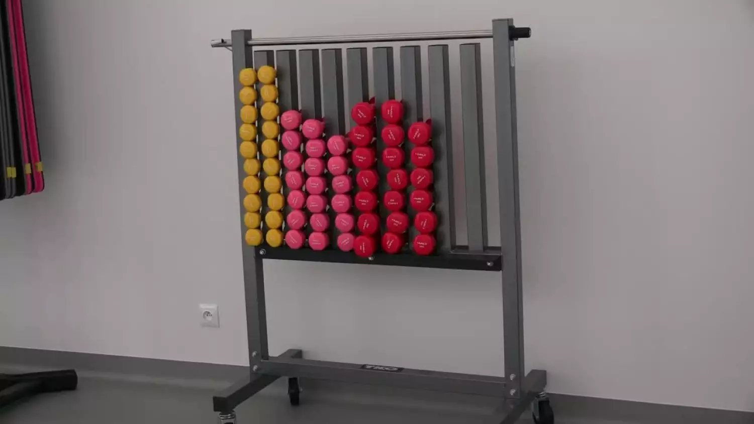 2024rehabilitacja-brody.mp4