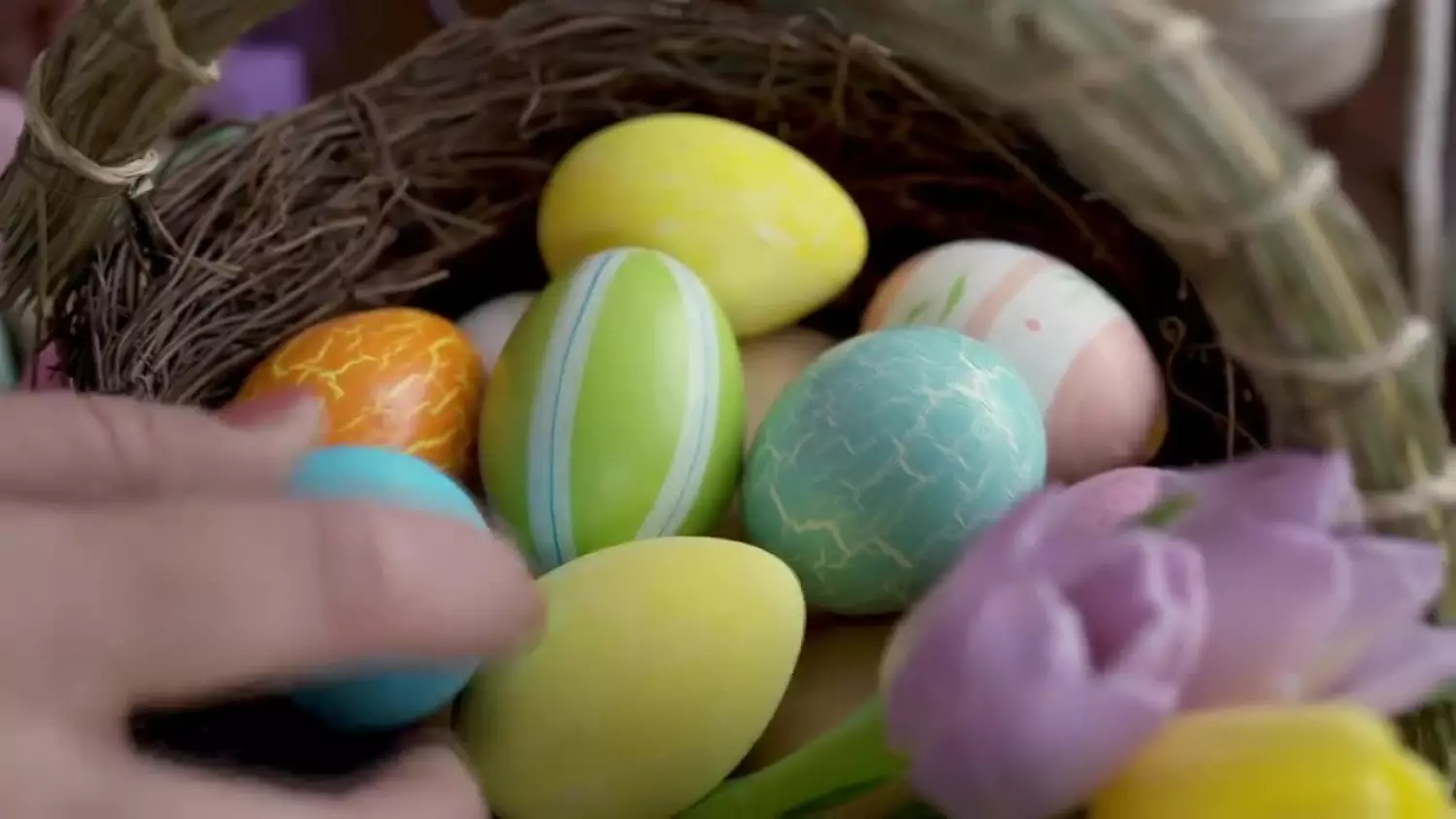 2024-03-13-jajka.mp4