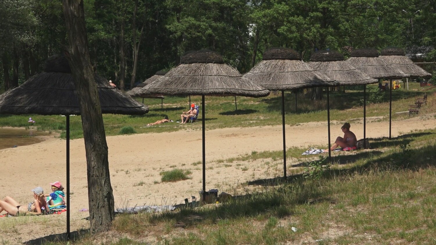 2024-06-03-piachy.mp4