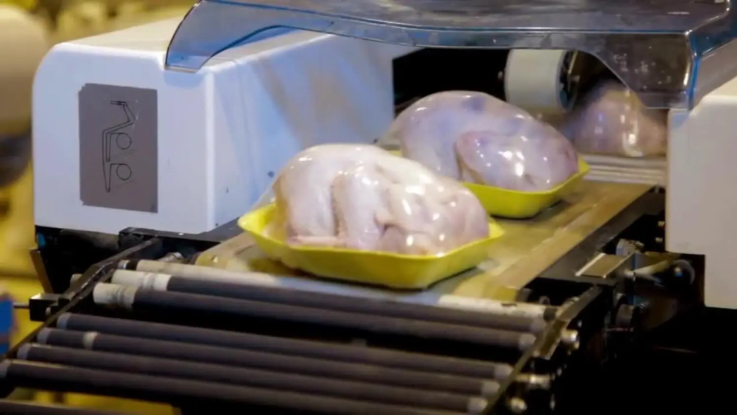 2024-11-02-rolnicy.mp4