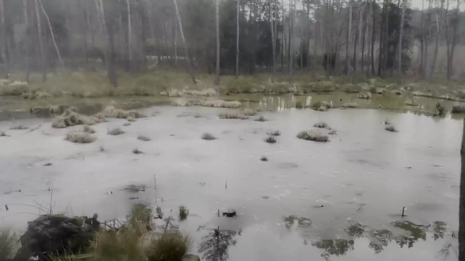 2025-01-27-kolejka-ok.mp4