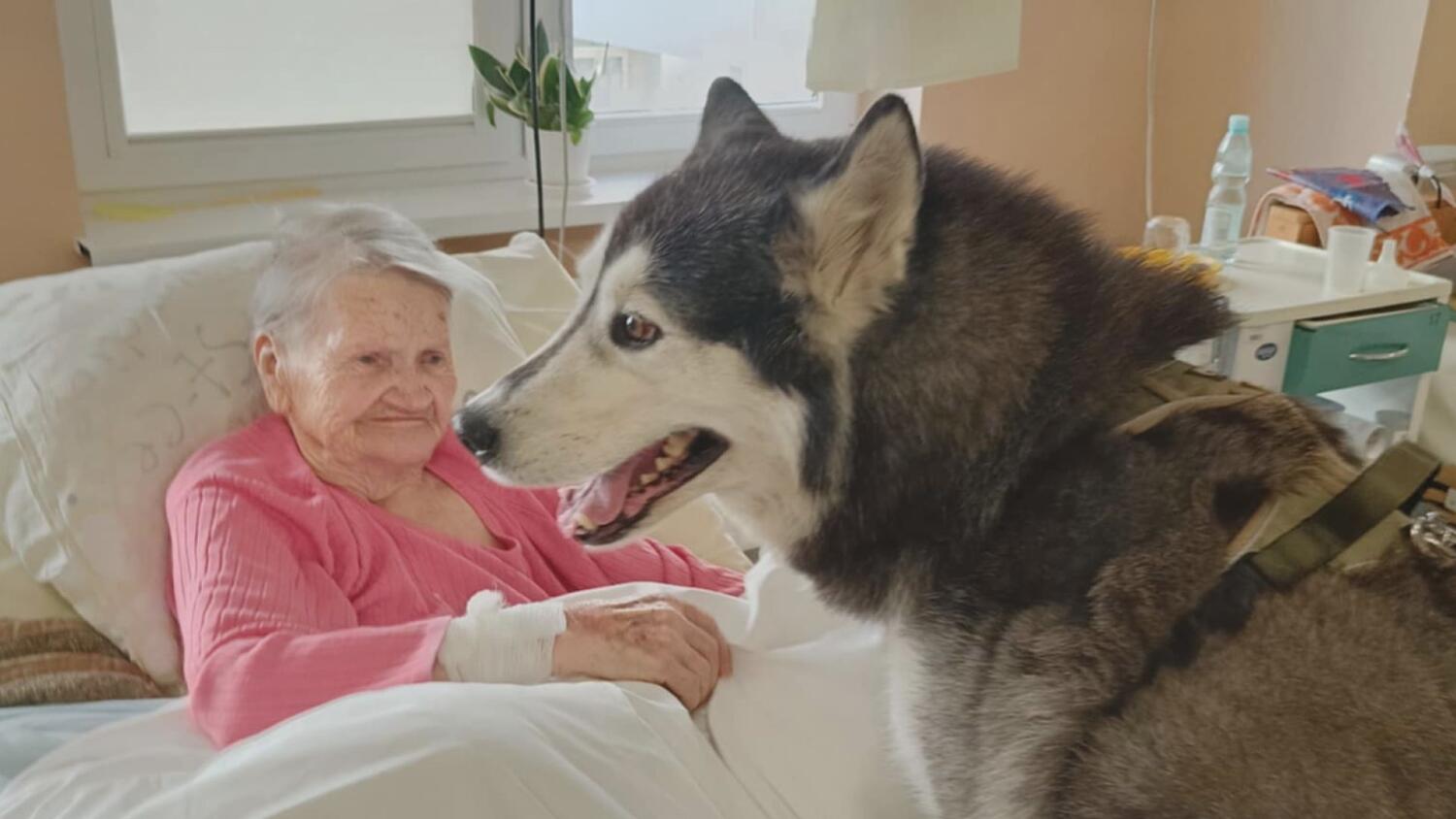 2025-02-19-dogoterapia.mp4