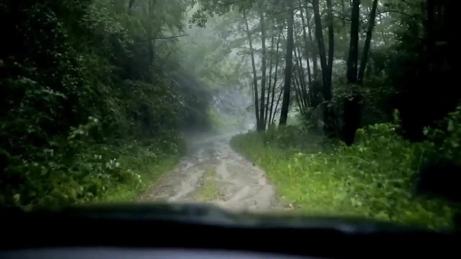 2025-07-15-lasy1.mp4