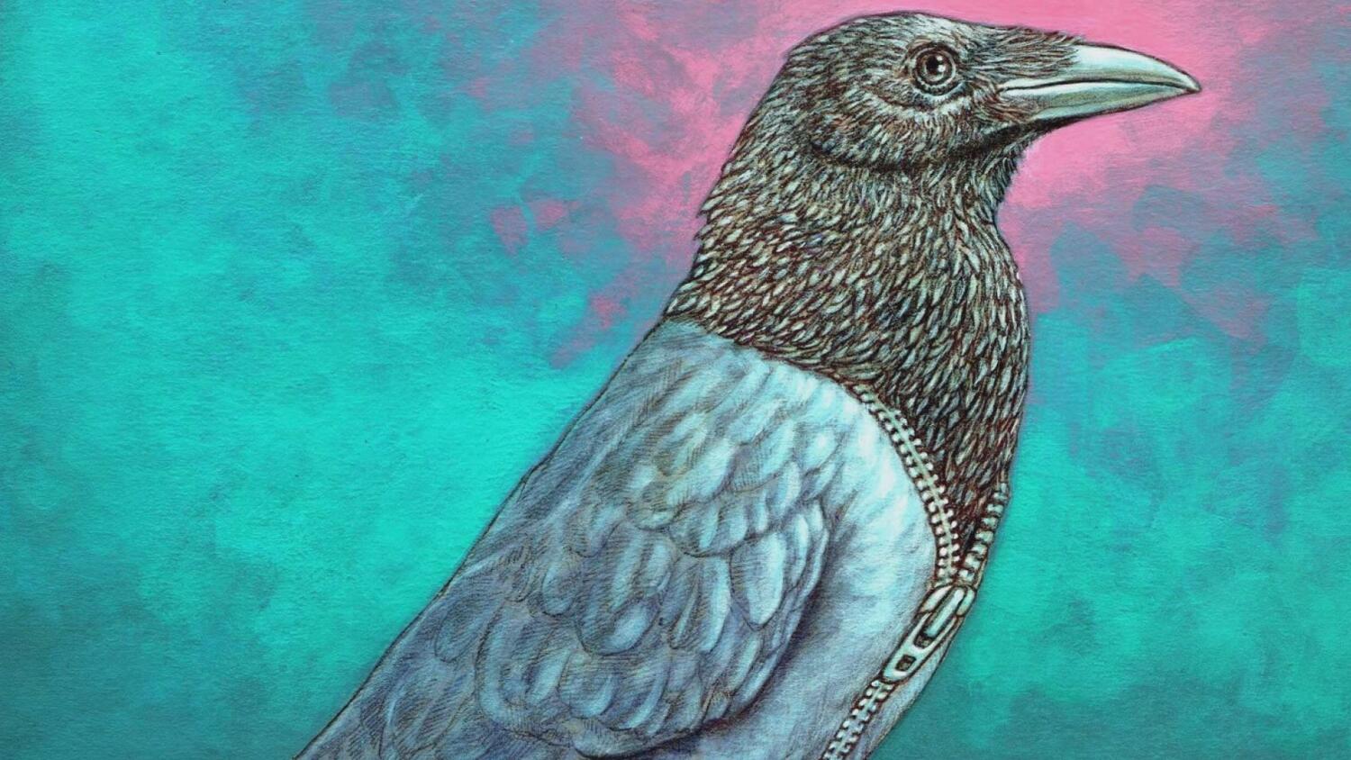 2025-09-02-bonda.mp4