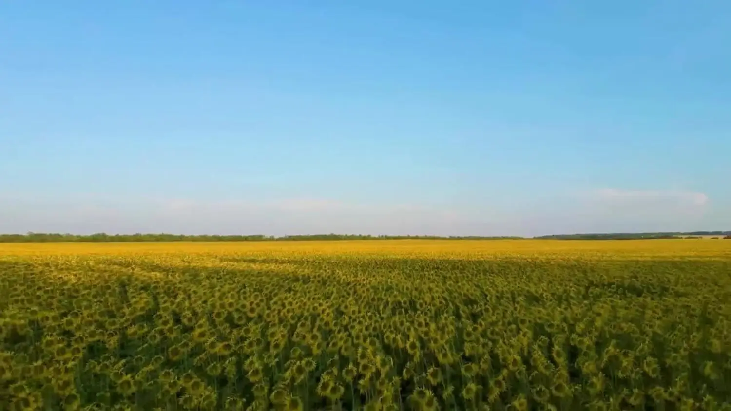 2025-09-12-rolnicyok.mp4