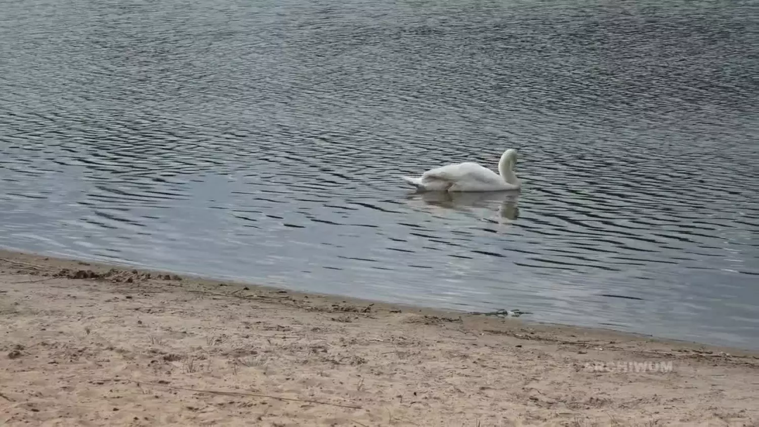 2025-10-09-piachy.mp4