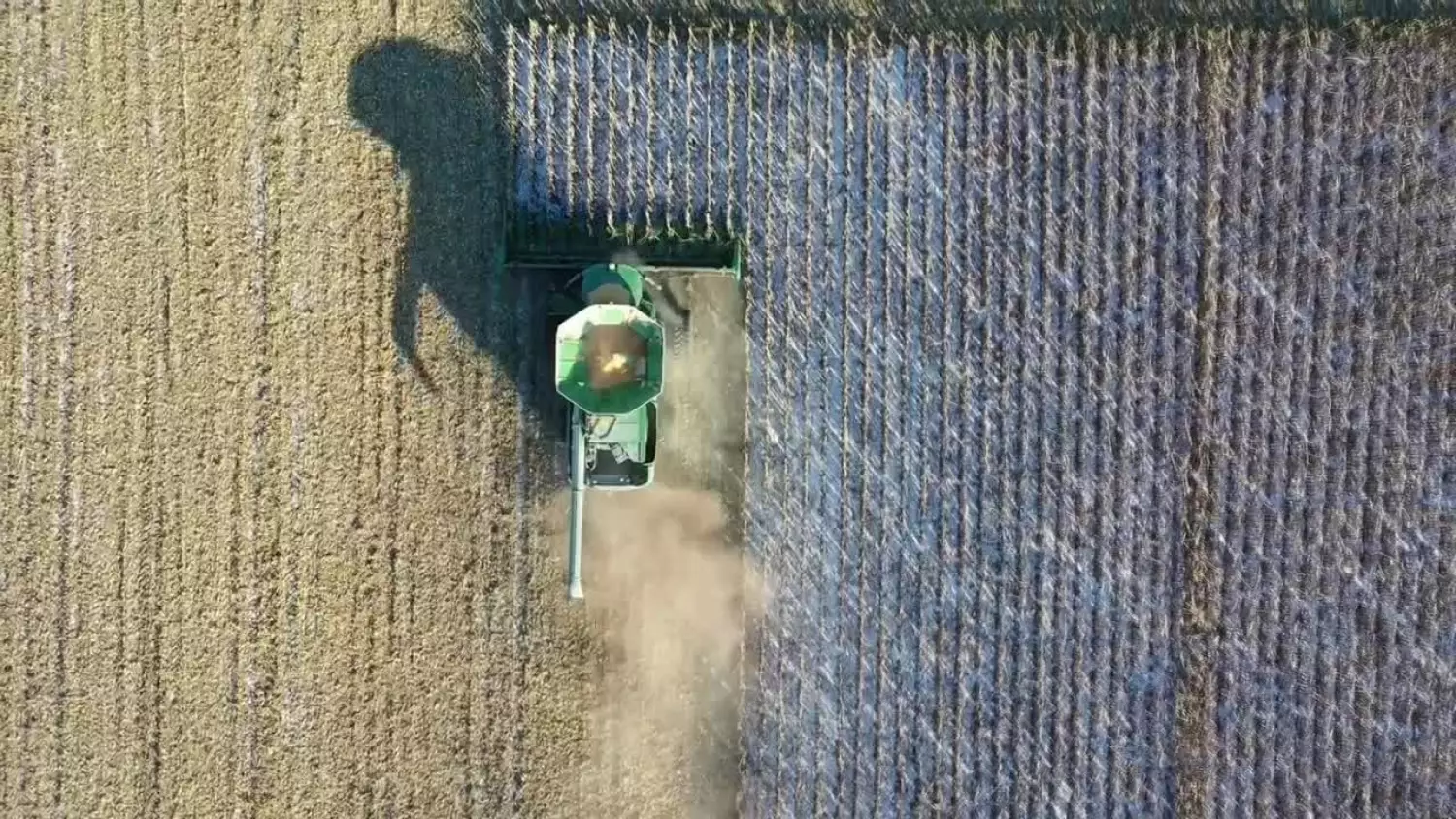 2025-10-20-arimr.mp4