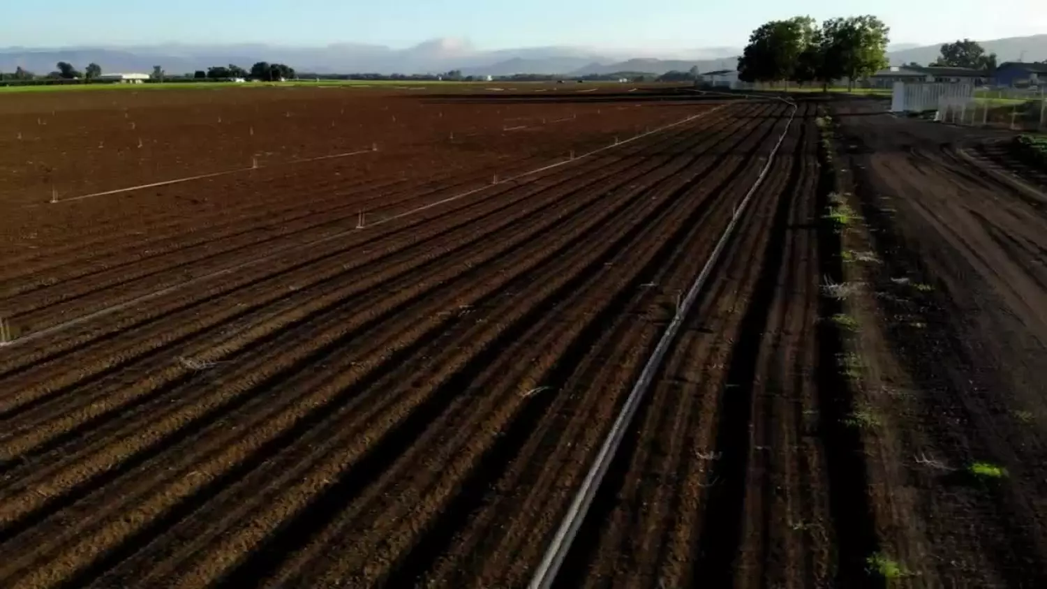 2025-10-27-arimr.mp4