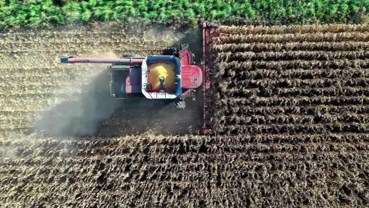 2025-10-29-arimr.mp4