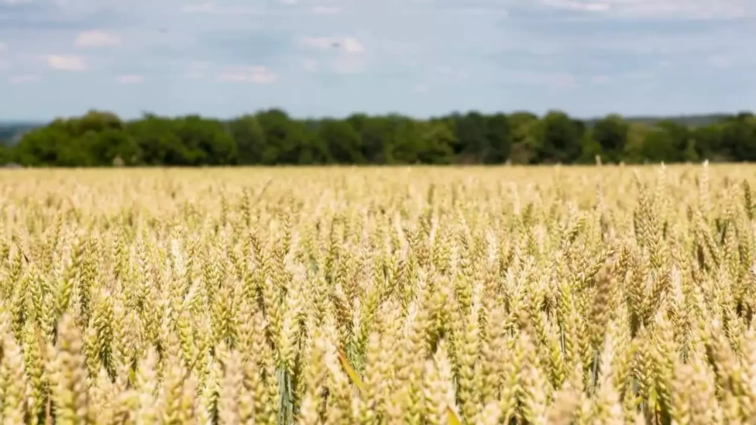 2025-11-10-arimr.mp4