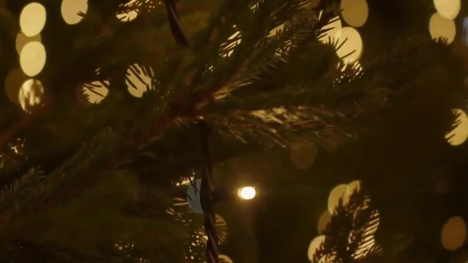 2025-12-03-choinka.mp4