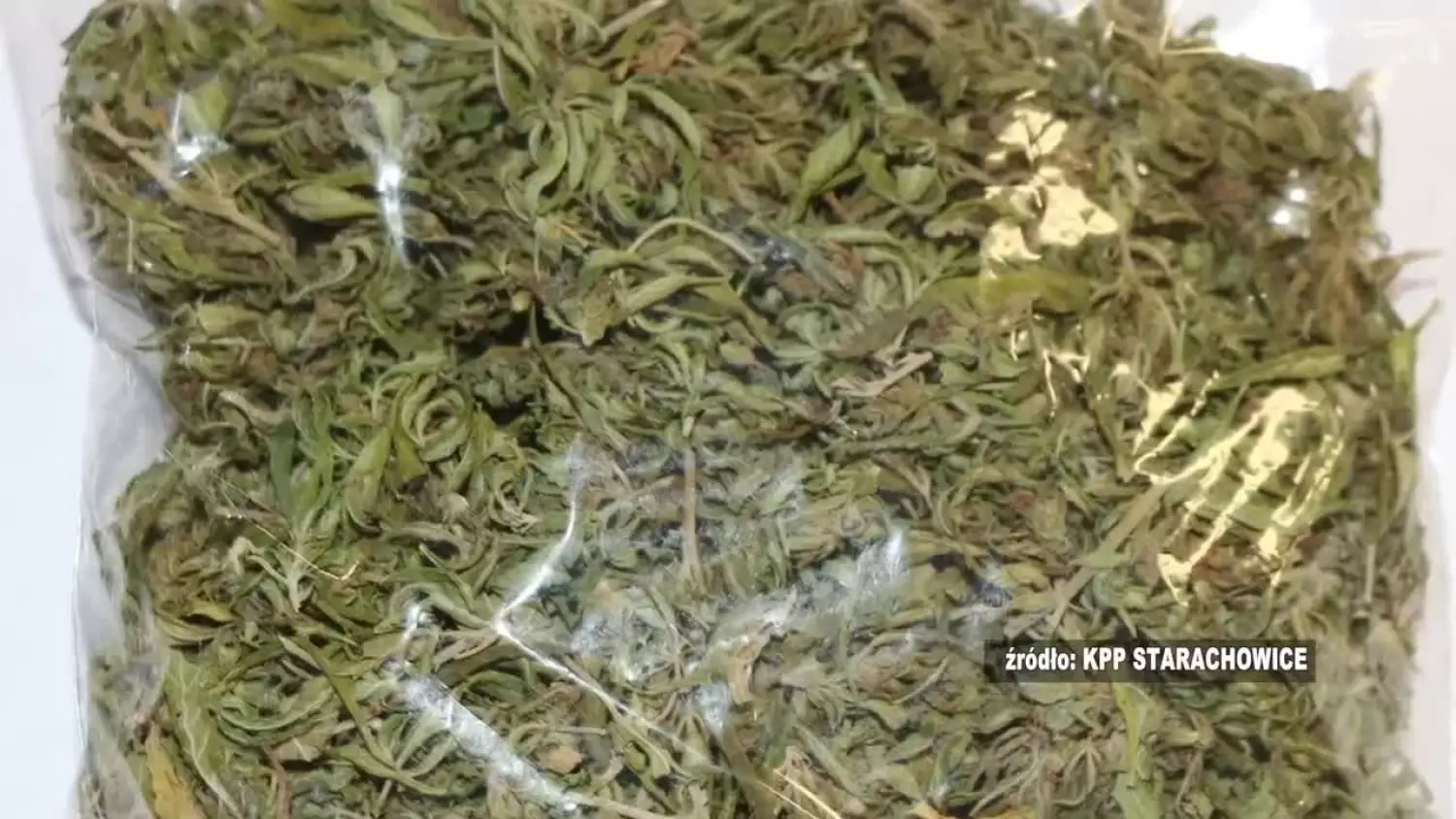 2026-01-16-policja.mp4